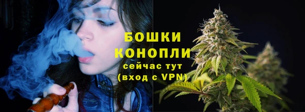 стаф Балахна