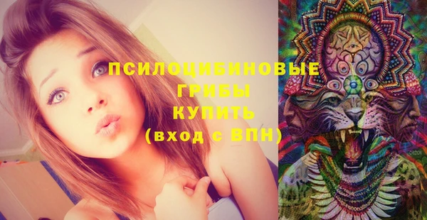 стаф Балахна