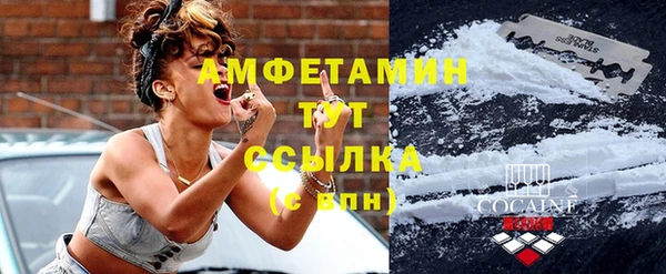 твердый Кадников