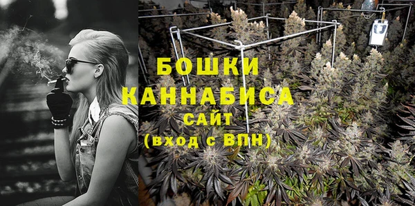 стаф Балахна
